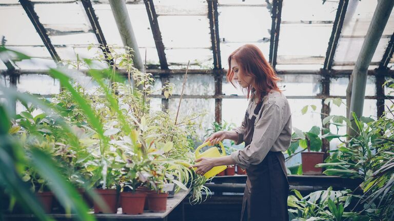 Tips for Creating a Sustainable Home Garden Throughout the Year